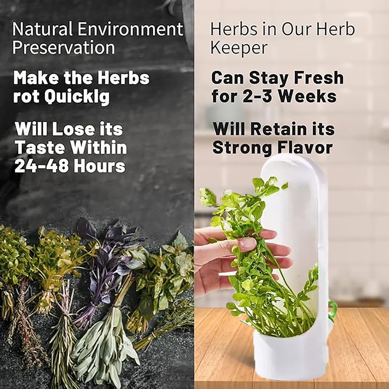 Ristpal 3Pack Herb Saver for Refrigerator for Cilantro, Parsley, Asparagus,