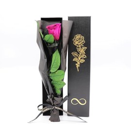 Pandiui23 Preserved Eternal Rose, Eternal Rose, Preserved Natural Rose, Preserved Flowers, Valentine's Gift, Mother's Day Gift, Mom Gift, Christmas Gift, (Purple Pink)
