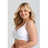 Miss Mary of Sweden Tshirt Bra for Women - Seamless