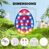 LAMPHOME Light Up Easter Eggs Waterproof Indoor Outdoor String Lights