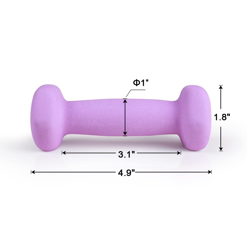 LIONSCOOL Neoprene Coated Dumbbell Weights (Lavender 1lb Pair)