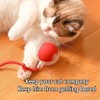 Auto Moving Motorized Cat Toy Electric Rolling Ball with Motion