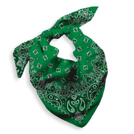 EVERY-VILLE Where EVERYone is Welcome Dark green Bandana for Men Women - 100% Soft Cotton, Paisley, 22x22 In, 1 Pack - Large Handkerchief Headband Scarf