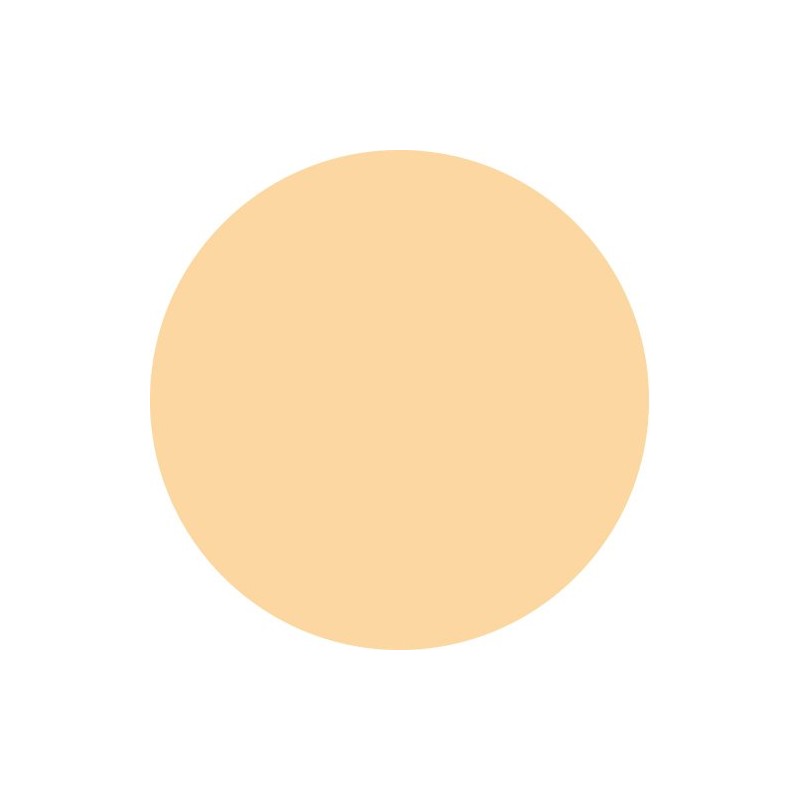 Exbeaute Vision Foundation Powder, Silk Type (Refill), Beige Ochre 01,