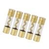 Hihaha Fuse 100A Gold Tone Plated AGU Fuses for Car