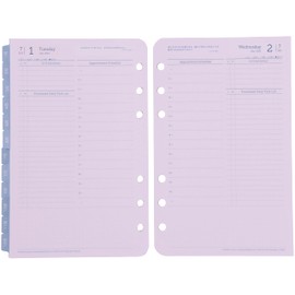 Franklin Planner Original 1 Page Per Day Daily Refill, 12 Month Edition, Starts July 2025, Compact 86460