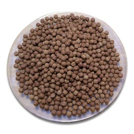 Chamdoori Quince Ginger Pill 500g / 참두리 모과생강환 500g