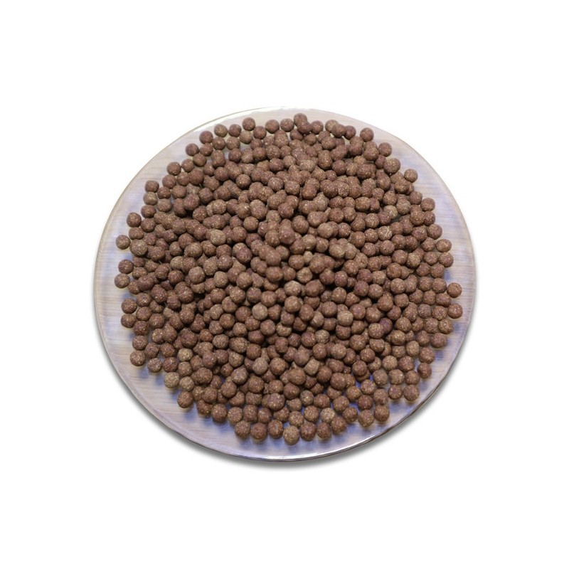 Chamdoori Quince Ginger Pill 500g / 참두리 모과생강환 500g