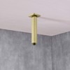 Brushed Gold Shower Arm with Flange 6 Inch Straight Stainless