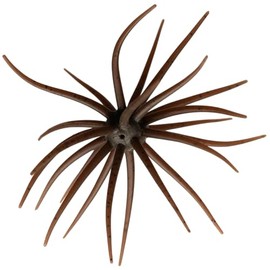 HIDEUP Former Coike (Feco Specification) 2025 Model Color (#103 Green Pumpkin)