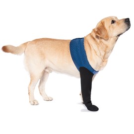 Coodeo Calcetines Perros Que evitan lamerse Las Patas, Botas curativas y Protectores de Patas con Suela Antideslizante para Proteger heridas, Zapatos 