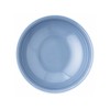 Thomas Trend Colour Arctic Blue Flat Bowl 22 cm