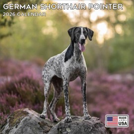 2026 German Shorthaired Pointer Calendar - Dog Breed Wall Calendar - 12 x 24 Open - Thick No-Bleed Paper - 14 Month Planner Calendar Organizing & Planning