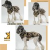 Waterproof Dog Raincoat with Reflective Strip, Adjustable Breathable Rain Coat