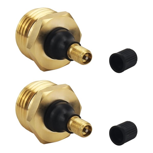 SAQXK 2pcs RV Fresh Water Blow Out Plugs Standard Brass