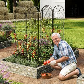 2 Pack 74.8" H x 21.6" W Garden Trellises for Climbing Plants, Sturdy Plant Trellises with Black Metal Coating, Arched Outdoor Decoration for Patio Lawn, Roses, Vines, Flowers, and Vegetables