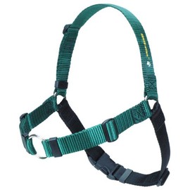 The Original Sense-ation No-Pull Dog Training Harness (Green, Medium-Large Wide)