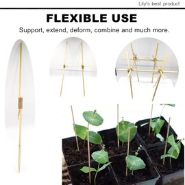 HOPELF 50 Pack 8" Bamboo Plant Stakes for Wood Garden Sticks，Wooden Plant Supports，Indoor Gardening Plant Supports，Floral Plant Support ，Potted Plants，Crafts, More Size Choices 8"/12"/16"