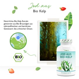 Organic Kelp (Natural Iodine) - 365 Tablets with 200 μg Iodine from Organic Brown Algae - Laboratory Tested - No Unwanted Additives - High Dose - Vegan