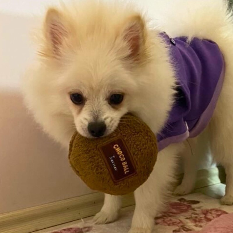 WufWuf Easter Choco Ball Plush Dog Toy – Soft, Durable,