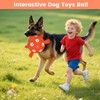 WYNTRIUM Dog Balls Toy, Durable Soccer Ball with Straps, Interactive