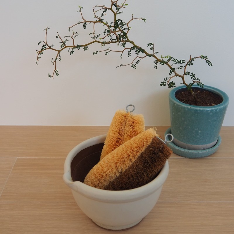 Turtle Baby Clean For Scrubber ha-hu・ha-dotawasi jtw30 Single item One 1pc