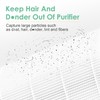 HSIAMEN AP-T100FL Filter Replacement Compatible with HoMedics AP-T100 AP-T95 Smart