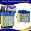 HEYINSHEN 13" Best Dad Ever Gift Bag with Tissue Paper