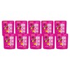 Koochikoo Sugar Free Lollipops Pouch, Assorted Fruit Flavors, No Sugar