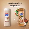 Suave Suave Moisturizing Body Wash, Cocoa Butter and Shea with