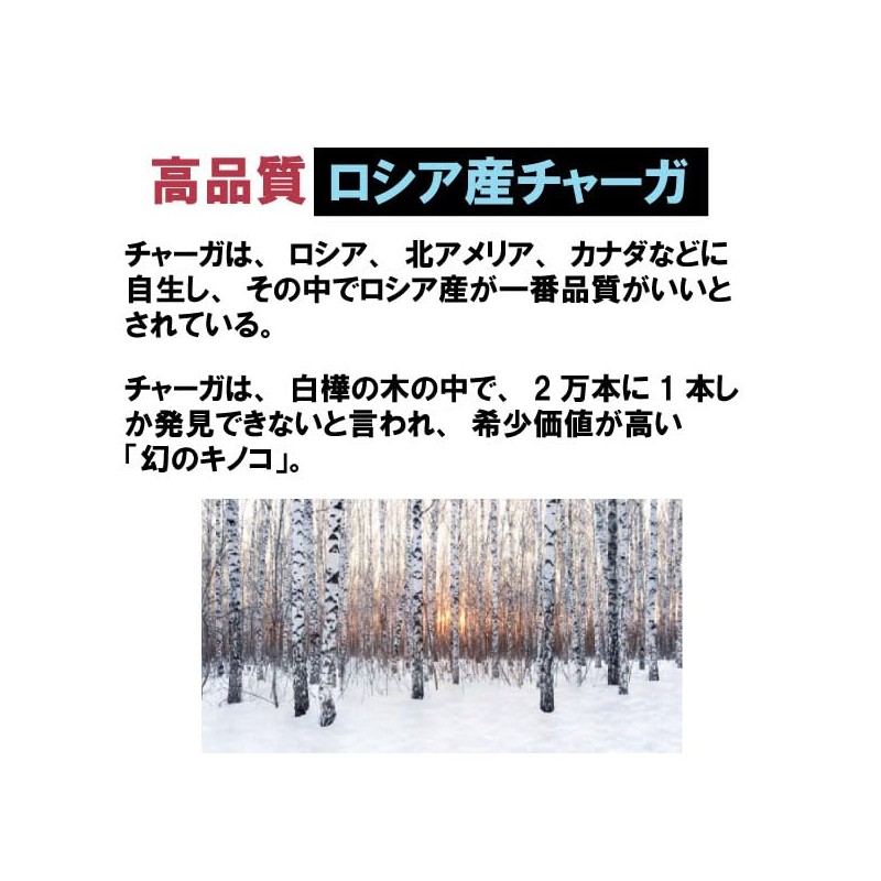 健康プラス チャーガ丸 粒タイプ 韓国 サプリメント カバノアナタケ 桑の葉配合 2600粒入り 200g
