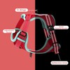 PAWDAY No-Pull Dog Harness with Dog Leash Breathable Mesh Adjustable