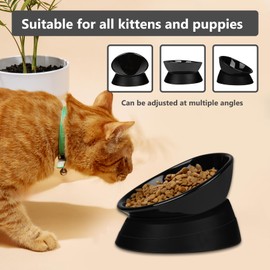 French Bulldog Food Bowl- Slanted Tilted Pug Food Water Bowl,Cat Bowl- Feeder for Frenchie/Shih Tzu/Flat Faced Small Dogs/Puppies/Cats (Black（Ceramic）, 2 Cup)