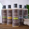 Urtekram Tea Tree Shampoo Organic 250 ML (order 6 for