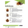 CAN Bedlam Plus Bedbug Insecticide - 17 Oz. Can (plus