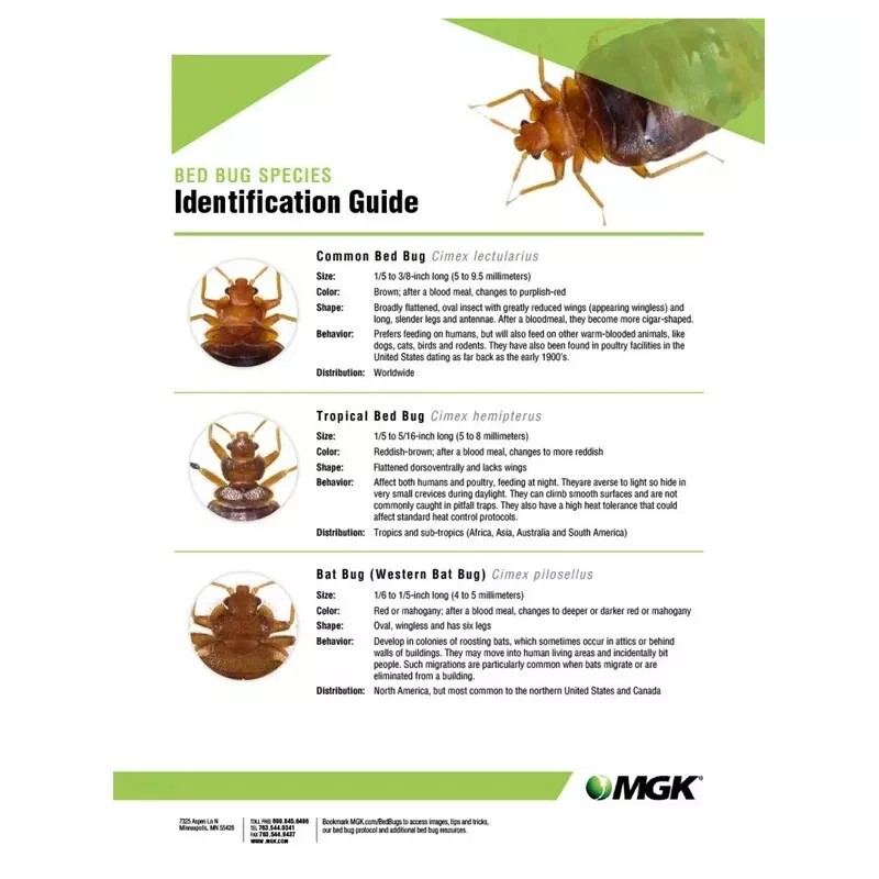 CAN Bedlam Plus Bedbug Insecticide - 17 Oz. Can (plus