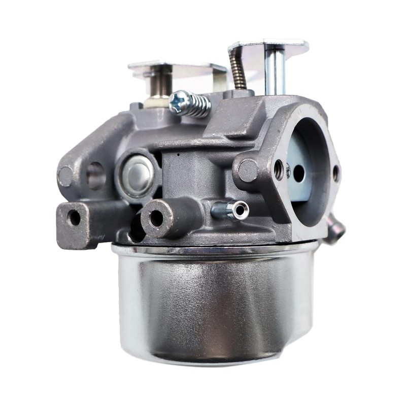 LIZAPUS 640169 Carburetor Compatible with Ariens 924117 932034 924300 924121