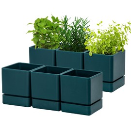 D'vine Dev 4 Inch Herb Planter Pot, Plastic Planter with Drainage Holes and Saucer, Modern Decorative Gardening Pot for Indoor Plants, Flowers, Herbs, Succulents, Green, Set of 6, 76-Y-C-6