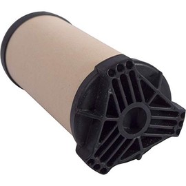MSR MiniWorks/WaterWorks EX Ceramic Element