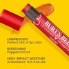 Burt's Bees - Brillo de labios hidratante 100% natural, cereza
