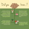 Vegavero Vegavero Organic Maitake Mushroom 8500 mg | 17:1 Extract