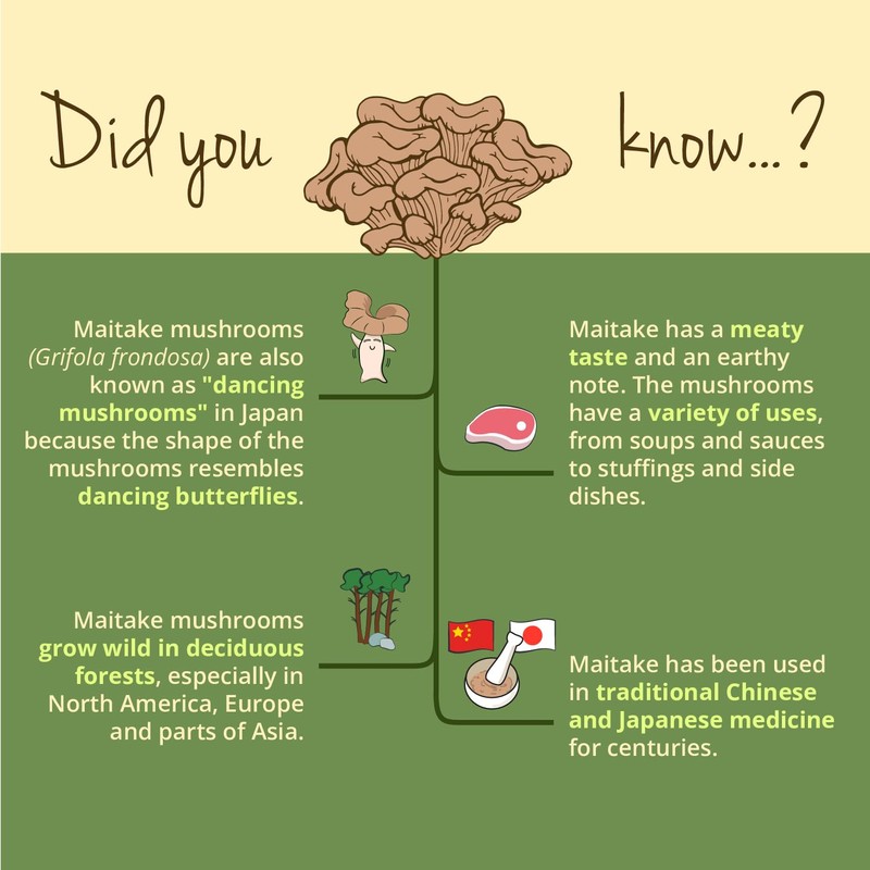 Vegavero Vegavero Organic Maitake Mushroom 8500 mg | 17:1 Extract