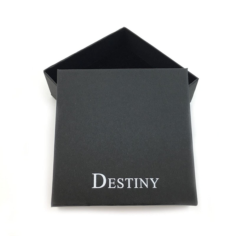 Destiny Love Padlock Choker Collar Necklace with Lock and Two