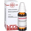 DHU Berberis aquifolium ø mother tincture, 20 ml solution