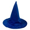 Witch or Wizard Costume Hat (Blue)