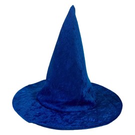 Witch or Wizard Costume Hat (Blue)