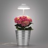 MAXXMEE LED plant light with telescopic rod, optimal light temperature