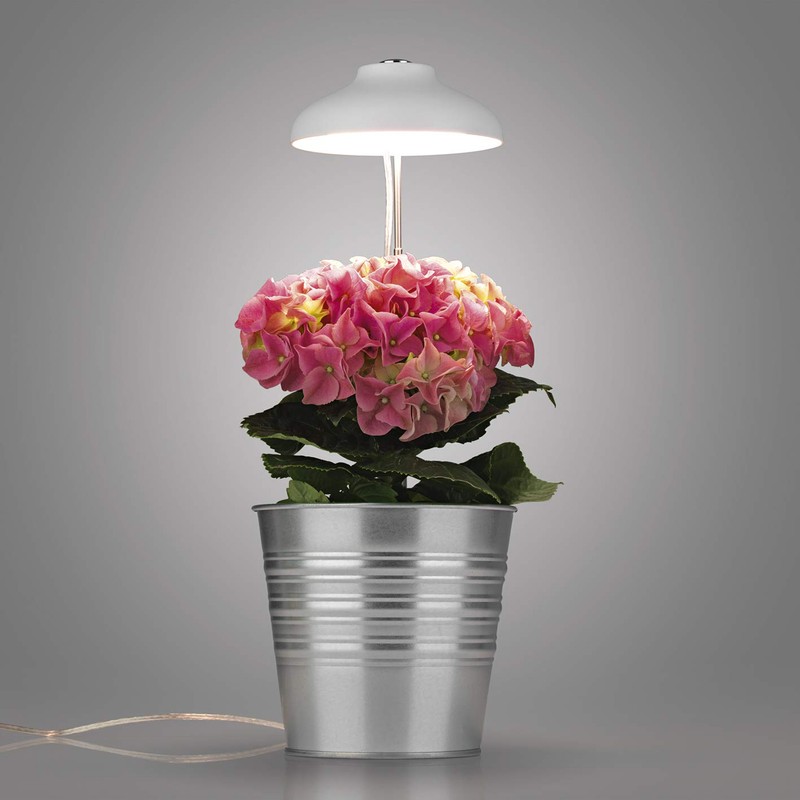 MAXXMEE LED plant light with telescopic rod, optimal light temperature