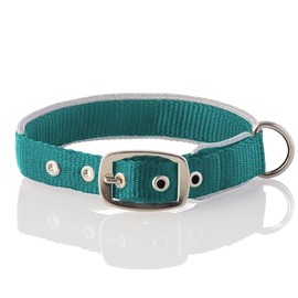 Pet Passion Adjustable Silver Trimmed Dog Collar for Pets Small, Medium and Large Dogs, Silver/Turquoise, X-Large