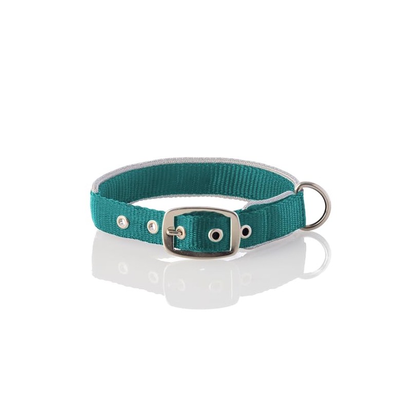 Pet Passion Adjustable Silver Trimmed Dog Collar for Pets Small,